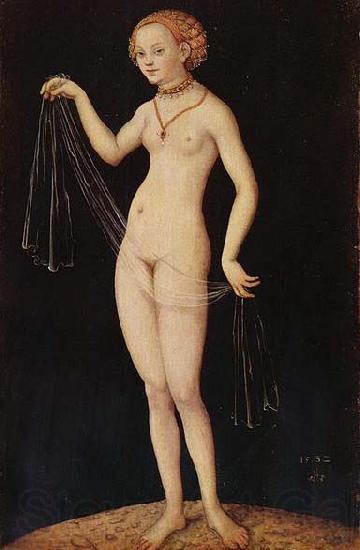 Lucas Cranach the Elder Venus Norge oil painting art
